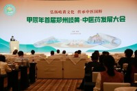 第1回岐黄・中医薬大会 継承と革新に焦点を当て、中医薬産業の発展を促進