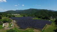 トリナソーラー、日本で営農型太陽光発電プロジェクトを発表、再生可能エネルギーと農業の相乗効果を推進