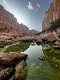 サウジアラビア初の保護地域がIUCNのグリーンリストに掲載