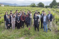 日本代表団がバスク地方リオハ・アラベサのワイナリーとブドウ畑を視察
