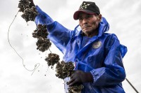 クリエイティブ・テック・テキスタイルのSeawool®がサステナブルファッションに新たな地平を切り開く