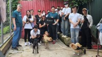 Vantage Foundationのボランティア、Laws for Paws Vietnamで保護犬に愛情とケアを届ける