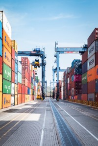 日本、コロンビア産鶏肉の輸入を正式に解禁へ