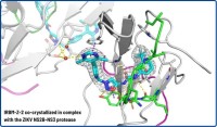 IRBM、ジカウイルス治療薬の発見において画期的な進展を報告