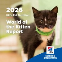 生涯の青写真：Hill's「子猫の世界（World of the Kitten）」レポート、獣医療チームとペットオーナーによる重要な最初の1年への対応を支援