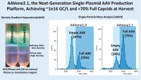 AAVnerGene社、次世代単一プラスミドAAV生産プラットフォーム「AAVone®2.1」を発表 ～収穫時に約1e16 GC/Lおよび70%以上の完全キャプシドを達成