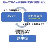 猛暑・感染症・夏バテから子どもを守る！小児科医ママが教える育免アクション