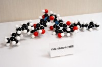 【2月12日はペニシリンの日】嫌われ者の「カビ」が人類を救う？ アオカビの発見から98年、西表島の黒カビが脳梗塞治療の新たな希望へ