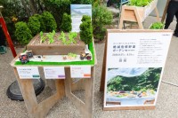 消えゆく在来野菜をおいしく食べて未来を守れ！ 「絶滅危惧野菜ガーデン」で酷暑時代の伝統野菜を支援