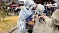今年も浅草寺で“FREE ICE”！ 森永製菓がチョコモナカジャンボを2.5万個無償配布