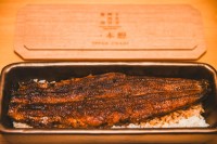 「うなぎ四代目菊川」の新店がNEW美食スポット・なんばセントラルイータリーにオープン！ 鰻丸ごと一本の“かりふわ蒲焼き”を独り占めする幸福体験