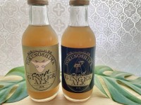 島を旅する気分に！ 無農薬生姜と島の素材で仕立てたクラフト炭酸飲料『徳之島ジンジャーエール』