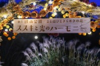 全国でも初の試み!? 「花と光のムーブメント 狭山公園」で“ススキのライトアップ”を体験