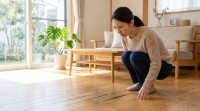 シロアリ被害は他人事じゃない！ 約5人に1人が経験した戸建て住宅の見えない盲点