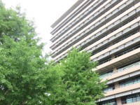 またまた『女子児童のスカート内盗撮』　小学校教諭(27)懲戒免職　教諭は「ストレス発散やスリルを味わうために…」