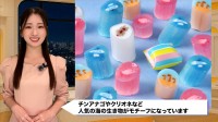 水族館キャンディ？がヒットの予感？魔法のように味変も
