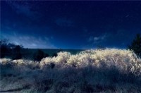 狭山公園が10日間限定で異世界に！無料ライトアップと映えフォトスポット出現　11月7日から