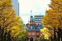 生徒4人を乗せて『居眠り運転・街路樹に激突』　中学校教諭(43)減給処分　生徒は「右腕骨折」の重傷