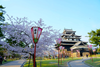 国宝×桜が今だけ重なる——島根・松江城「お城まつり」3月25日開幕