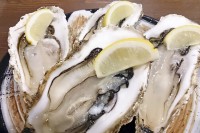 居酒屋で【生カキ】食べた『30人発症』　「ノロウイルス」集団食中毒　【加熱不十分なカキ】提供禁止処分に…