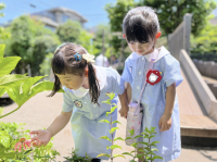 なぜ都市部で「園庭を知らない子ども」が増えているのか？ 私立保育所の7割が園庭なしの危機と、幼児教育が向き合う「体験格差」