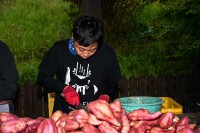 地域産品は「物語」で価格競争を抜け出せるか、500件超の商談から見えた地方ECの課題