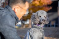 いのちを想う④ ～犬に宿る不思議なチカラを科学する～