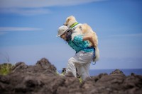 約682万頭で下げ止まりの犬の飼育頭数。18歳までに犬とふれあうと大人になって飼いたくなる？！