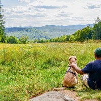 犬と一緒に出かけたい気持ちを1回落ち着かせて！本当にそれは犬のためになるのか考えてみよう