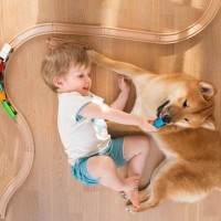 なぜ犬は『人間の赤ちゃん』に優しいの？　母性本能の強さに「性別は関係ないのね」「尊い関係」