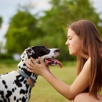 犬のしつけでアイコンタクトを教える必要はある？教える際の理由と必要性について