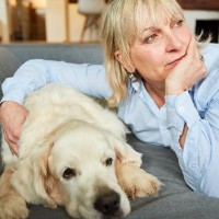 愛犬の介護は何歳くらいから必要？目安や初期に見られがちな症状とは？