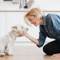 犬に『大好き』を伝える正しい方法5選　間違った伝え方は逆にストレスに繋がるかも…？