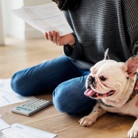 犬の病院代、1年でいくらくらいかかる？平均的な料金の目安と支出を抑えるためのコツ
