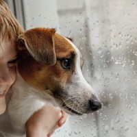 雨の日こそ愛犬が室内で楽しめる遊びを考えよう！家にあるもので簡単にできる宝探しゲームがおすすめ