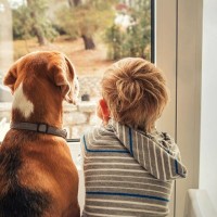 家族想いな犬がする行動3選　愛犬と強い信頼関係を築くために飼い主ができることとは？