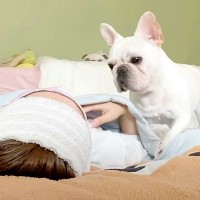 飼い主が寝たら…犬はどうする？休憩中に撮影してみた光景が『幸せすぎる』と17万再生「腕枕かわいい」「ママの側が好きなんだね」