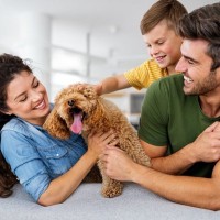 犬が『幸せ』だと感じる5つのこと　愛犬の心を豊かにする方法や多幸感の条件とは？