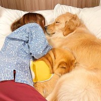 家族が『寝落ち』した時、犬たちを撮影してみた結果…愛を感じるかわいい行動に92万人がほっこり「何て幸せなの」「まるで人間」