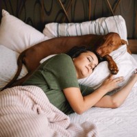 犬といっしょに寝ることは睡眠の質を下げる可能性　アメリカの心理学研究チームが1600人の成人を対象に調査