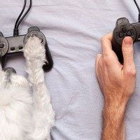 「犬はビデオゲームをプレーできるか」研究が進行中　犬用ビデオゲームの普及は意外と近い未来かも？