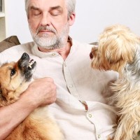 犬の寿命が短くなる『親バカ行為』6選　何気ない行動が愛犬を苦しめていることも…