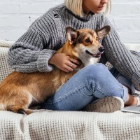 犬が『人の足に乗っかる』心理5つ　可愛い理由や飼い主がすべき適切な対応とは？