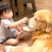 大型犬と赤ちゃんに『お別れの時』が訪れた結果…まさかの展開が100万再生「別れ惜しみ合ってる」「まるで永遠の別れのよう」賞賛と感動の声