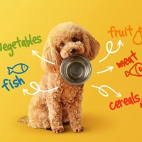 犬が食べすぎると危険な『栄養素』6選　過剰摂取が招く注意すべき症状とは？