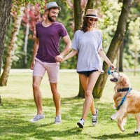 犬の散歩で着てはいけない『NGな服』4選　危険な理由や安全な服を選ぶポイントまで