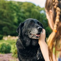 犬が『老犬』になってきた時のサイン４選…愛犬に起こる変化と日々の暮らしで改善すべきポイント