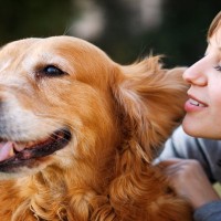犬を幸せにすることができる『飼い主の言葉』5選　愛犬の自己肯定感をあげるワードとは？