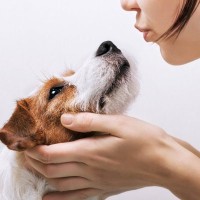 犬の口臭が悪化する『4つのNG行為』口腔トラブルを防ぐためにすべきことまで解説