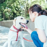 愛犬との絆を深める『声のかけ方』5選　愛犬との関係性をもっと良くするために意識すべきこととは？